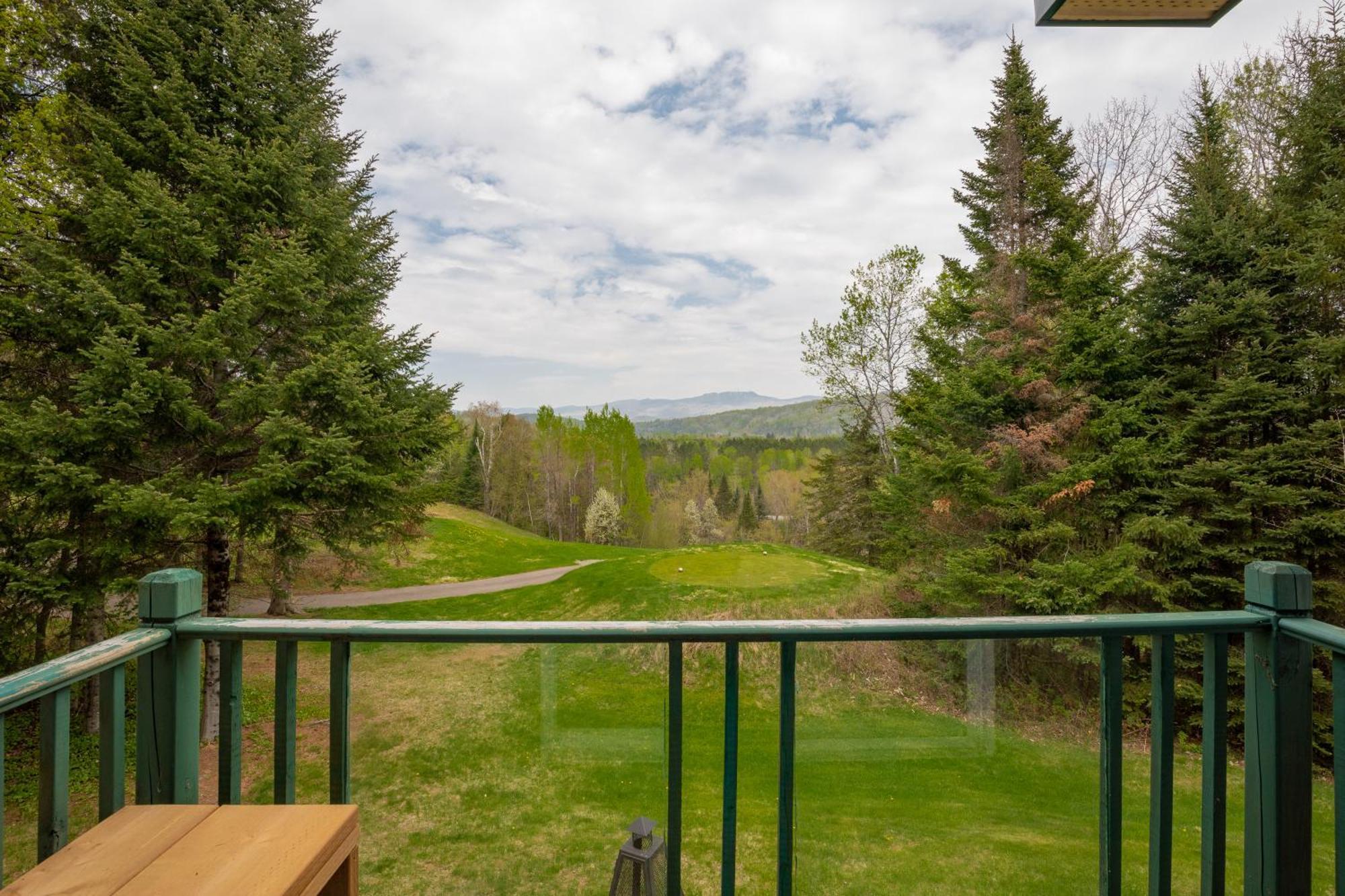 2-Level Home - Tremblant Mountain View - Fireplace Mont-Tremblant Dış mekan fotoğraf